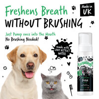 Bugalugs Zahnpflegeschaum Minze für Hunde & Katzen - Reinigung & Frischer Atem