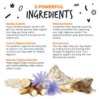 Bugalugs Pre- & Probiotic Verdauungshilfe 80 g – Immuncharge für Hunde