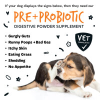 Bugalugs Pre- & Probiotic Verdauungshilfe 80 g – Immuncharge für Hunde