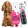 Bugalugs Ultimate Geschenkset für Hunde – Pflege & Gesundheitsset (6-Teilig)