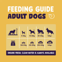 Burgess Sensitive Adult Hundefutter Truthahn – Alleinfuttermittel ab 12 Monaten 2KG