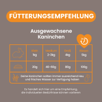 Burgess Excel Indoor Hasenfutter – Hochwertiges Alleinfuttermittel für Nager 1,75KG