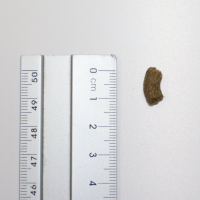 Burgess Excel Adult Hase Nuggets Minze Adult – Hochwertiges Alleinfuttermittel