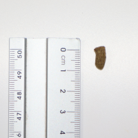 Burgess Excel Junge Kaninchen & Zwergkaninchen Nuggets mit Minze Ergänzungsfutter 1,75KG