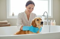 4 Animals Pflegehandsschuh für Hunde Katzen Fellpflegehandschuh Onesize mit Noppen