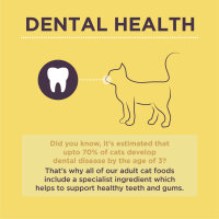 Burgess Adult Cat Bundle 10 kg – Ausgewogenes Trockenfutter für ausgewachsene Katzen