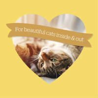 Burgess Adult Cat Bundle 10 kg – Ausgewogenes Trockenfutter für ausgewachsene Katzen