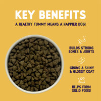 Burgess Sensitive Adult Hundefutter Truthahn – Alleinfuttermittel ab 12 Monaten 2KG