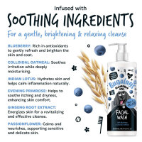 Bugalugs Blueberry Facial Wash für Hunde sanfte Gesichtsreinigung Blaubeer-Extrakt