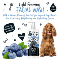 Bugalugs Blueberry Facial Wash für Hunde sanfte Gesichtsreinigung Blaubeer-Extrakt