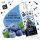 Bugalugs Blueberry Facial Wash für Hunde sanfte Gesichtsreinigung Blaubeer-Extrakt
