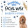 Bugalugs Blueberry Facial Wash für Hunde sanfte Gesichtsreinigung Blaubeer-Extrakt