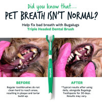 Bugalugs Dental Care Kit für Hunde – Zahnpflege-Set für saubere Zähne & frischen Atem