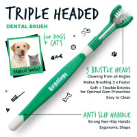 Bugalugs Dental Care Kit für Hunde – Zahnpflege-Set für saubere Zähne & frischen Atem