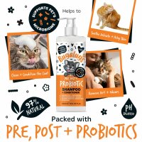 Bugalugs Probiotic Shampoo für Katzen – Pre-, Pro- & Postbiotische Pflege für Haut & Fell