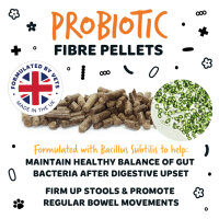 Bugalugs Probiotic Pellets für Hunde – Gesunde Verdauung & Darmflora 500g