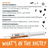 Bugalugs Pre & Probiotic Paste für Hunde & Katzen 30ml für die Verdauung