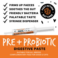 Bugalugs Pre & Probiotic Paste für Hunde & Katzen 30ml für die Verdauung