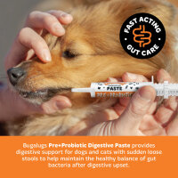 Bugalugs Pre & Probiotic Paste für Hunde & Katzen 30ml für die Verdauung
