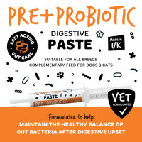 Bugalugs Pre & Probiotic Paste für Hunde & Katzen 30ml für die Verdauung