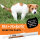 Bugalugs Pre & Probiotic Paste für Hunde & Katzen 30ml für die Verdauung