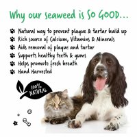 Bugalugs Plaque Remover 200 g für Hunde & Katzen...