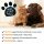 Bugalugs Pfotenreiniger für Katzen 200 ml – No-Rinse Reinigungsschaum für saubere Pfoten