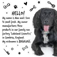 Bugalugs Hundeshampoo 2 in 1 Papaya & Coconut 250 ml