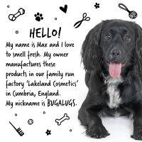 Bugalugs Nasen und Pfotenpflegebalsam Stick Oatmeal Cocos 40g