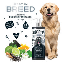 Bugalugs bestes Hunde Pflegeshampoo mit Aktivkohle Zitrusfrüchte Duft Premium
