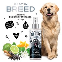 Bugalugs bestes Hundeparfüm Premium Zitrusdüfte Hundedeodorant Fellpflege