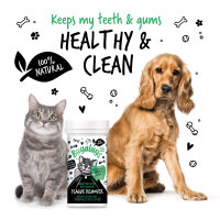 Bugalugs Plaqueentferner gegen Zahnbelag Zahnpflege für Katzen mit Seegras