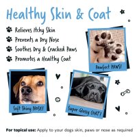 Bugalugs natürliches Kokosöl zum Auftragen oder als Leckerchen