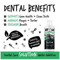Bugalugs Dental Care Solution – Wasserzusatz...