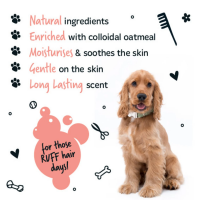 Bugalugs 2 in 1 Hundeshampoo + Conditioner - Papaya & Kokosnuss