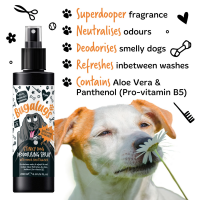Bugalugs Stinky Dog Deodorising Spray – Tannenzapfen & Zitrus, 200 ml
