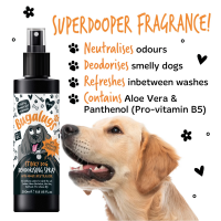 Bugalugs Stinky Dog Deodorising Spray – Tannenzapfen & Zitrus, 200 ml