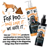 Bugalugs Stinky Dog Deodorising Spray – Tannenzapfen & Zitrus, 200 ml