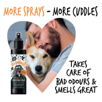 Bugalugs Stinky Dog Deodorising Spray – Tannenzapfen & Zitrus, 200 ml